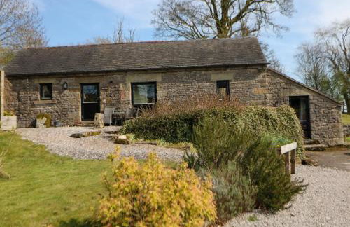 Slade Tops - Foto 21