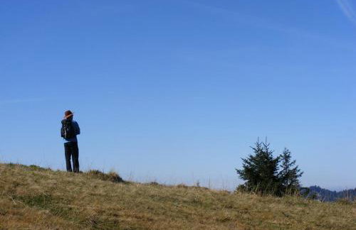 Ferienwohnung Landhaus Martin - Foto 32