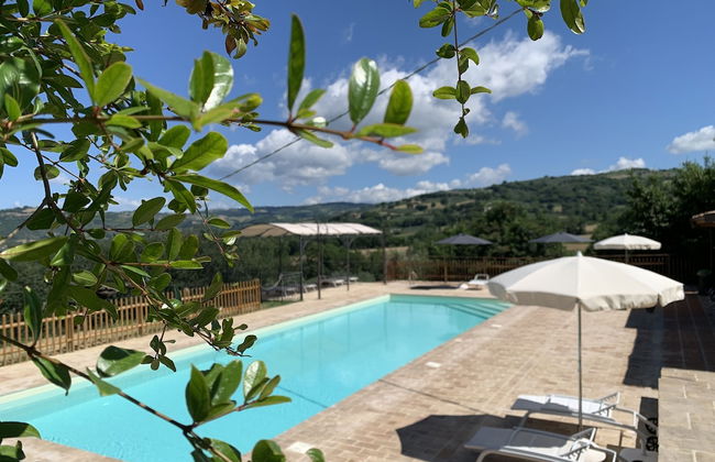 Agriturismo la Palazzetta di Assisi - Foto 41