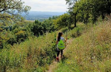 Apartament u Agaty Czernichów Kraków Zator - Foto 69