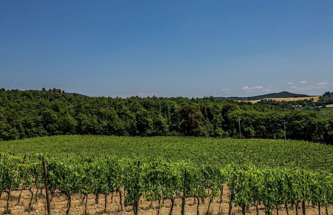 Belvilla by OYO Villa Sangiovese - Foto 19