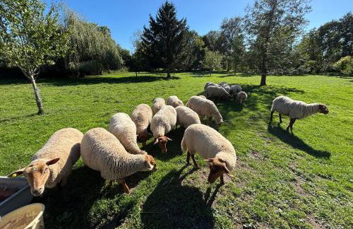 Chez Patricia - Foto 34