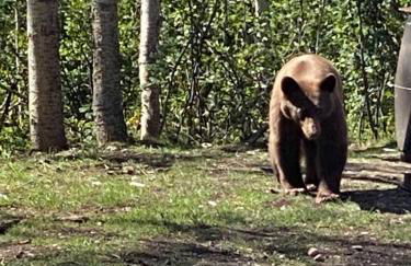 Glacier Summit-Spacious Modern Villa Near Glacier Park Part of Glacier Ridge Vacation Rental Collection - Foto 17