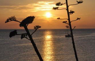 I colori del mare - Foto 20