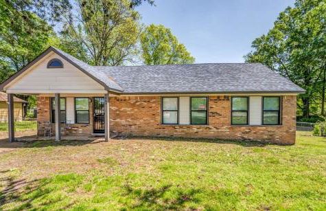 Schoolfield Collective - Foto 3