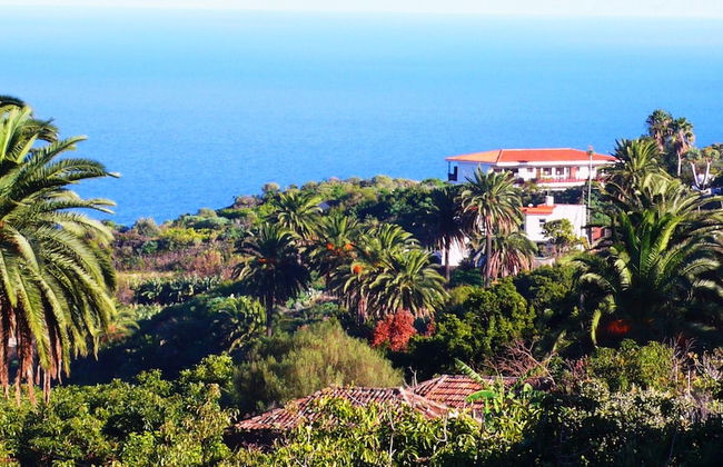 Apartamentos Miranda - Foto 25