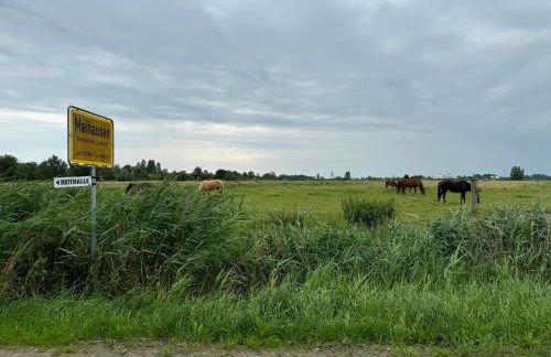 Ferienwohnung und Pension Knabbe - Foto 3