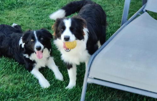 Quinta da Tapada de São Pedro - Foto 62