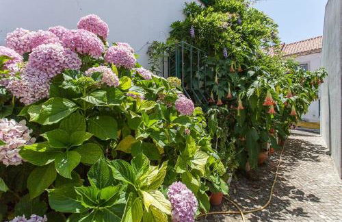 Casa Fresca Serra - Vila Fresca Azeitão - Arrábida - Foto 22