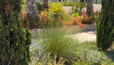 Mediterranean Garden Holidays - Photo 1