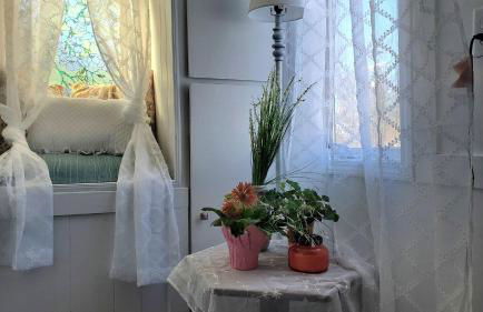 Airport Waterfront Cottage w transportation - Foto 18