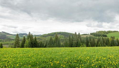 Ferienwohnung Gartenblick - Foto 4
