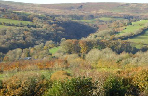 Walkers Retreat with garden and views - Photo 29