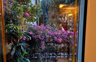 STONE of KAMARIZA - Foto 7