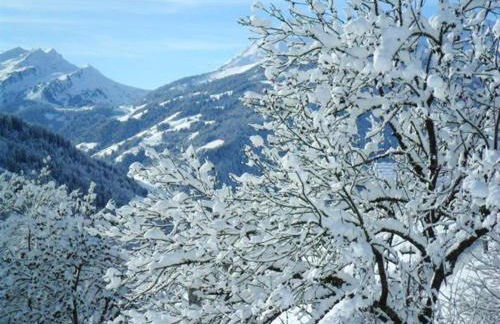 Appartement convivial à Hauteluce 64 m² avec vue sur la montagne - Foto 23