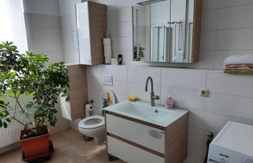 Gästewohnung Alt Salbke mit Küche - Foto 28