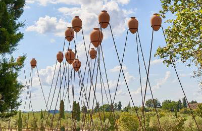 Fattoria la Loggia - Foto 21