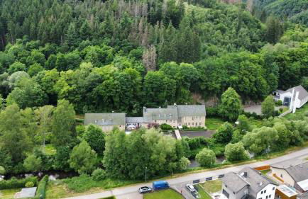 Waldoase im Nationalpark Eifel für 4 Personen und max 2 Hunde - Foto 17