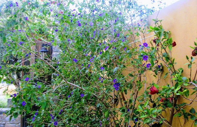 Villa Paradise - Foto 38