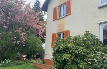 Apartament Blumenblick - Foto 27