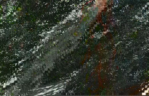 Private apartment - Foto 17