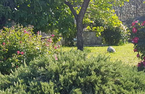 Villa Caterina - Foto 23