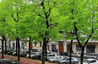 Bilocale San Paolo - Photo 3