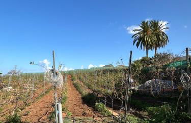 Villa Hacienda Flores - Foto 21