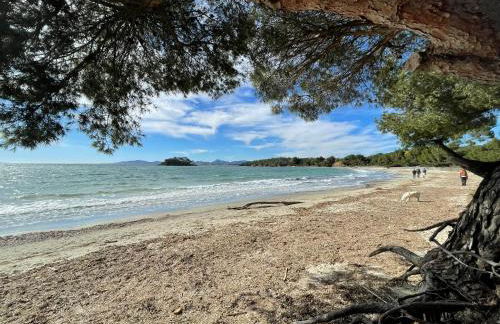 Appartement plage piscine et tennis inclus - Foto 36