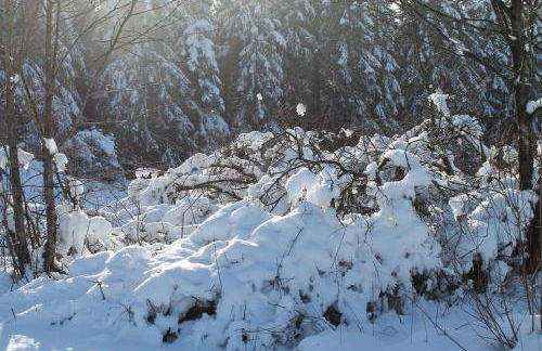 Holiday Home Rehsiepen - Foto 23