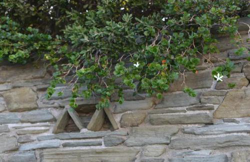 Andros Eco Home - Foto 34