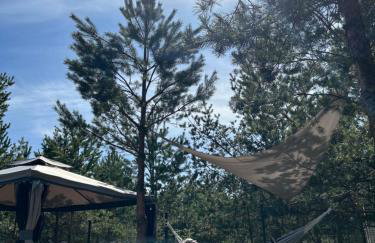 Villa Pino - Foto 19