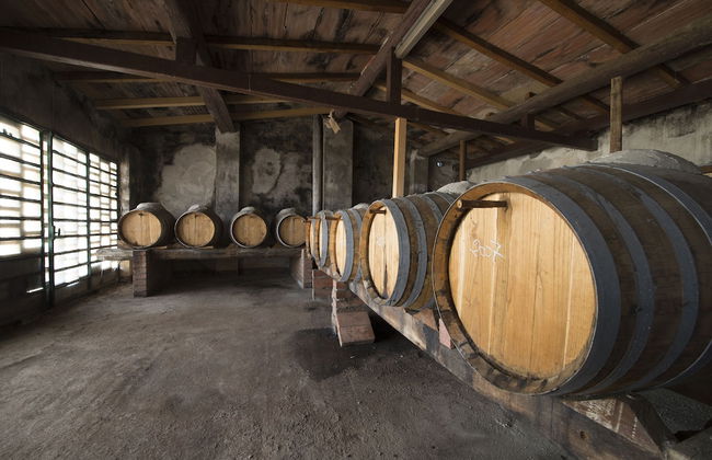 Tenuta Montespertoli - Foto 10