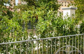 Villa Gremì - Monforte d'Alba - Foto 31