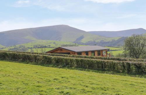 Bryn Eiddon Log Cabin - Photo 38