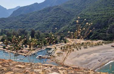 T2 vue mer & montagne Golfe de Porto-Ota - Foto 44