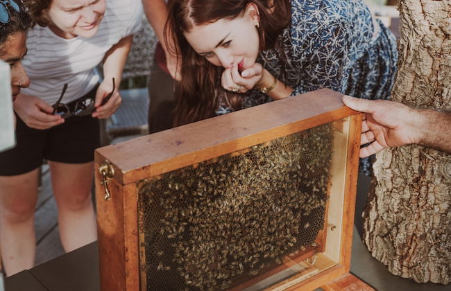 Agriturismo Podere Diacceroni - Foto 37