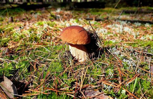 Strefa Relaksu-Piece - Foto 20