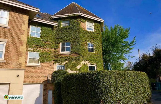 Solent Landing No 16 Beach Retreat - Foto 13