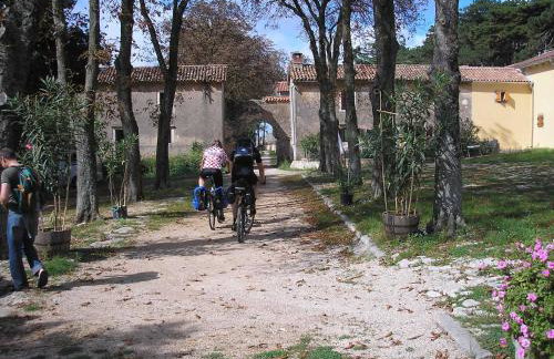 Apartments Lazzarini Battiala - Foto 47