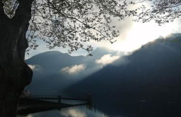 Timo & Rosmarino - Foto 25