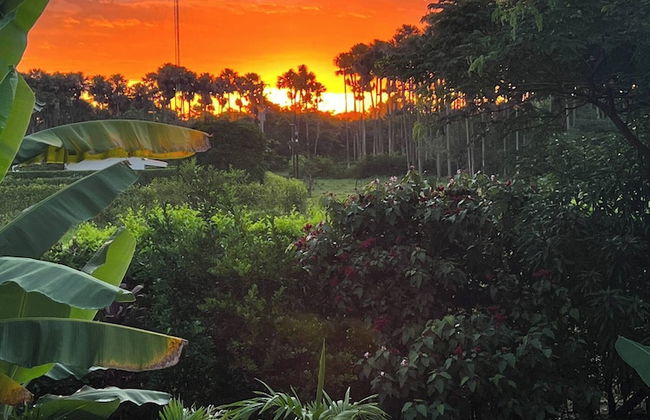 Luxury Glamping in Ruztico - Photo 24