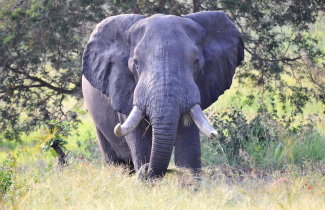 Victoria Lake View Guest House & Safaris - Photo 36