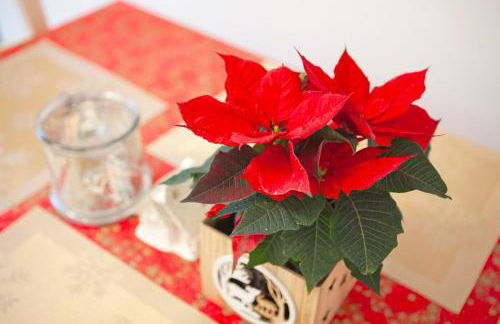 Moderne Wohnung nach Sanierung - Foto 36