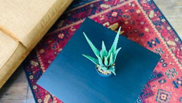 "Belle-vue" Cocon de charme - Foto 4