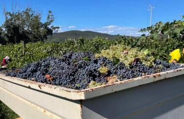 Agriturismo Podere Valdo - Foto 73