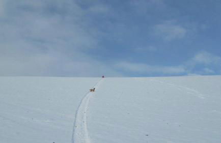 Azienda Agrituristica Colle San Giorgio - Foto 24