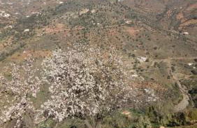 Casa Cuatro Vientos - Casabermeja - Foto 16