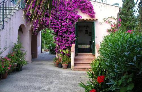 Ester Home Procchio Mare E Sole - Foto 21