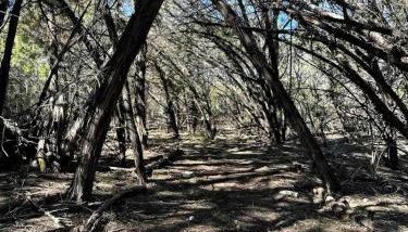 Outstanding Modern Cabin with Spectacular Outdoor and Indoor Areas in Texas - Foto 3